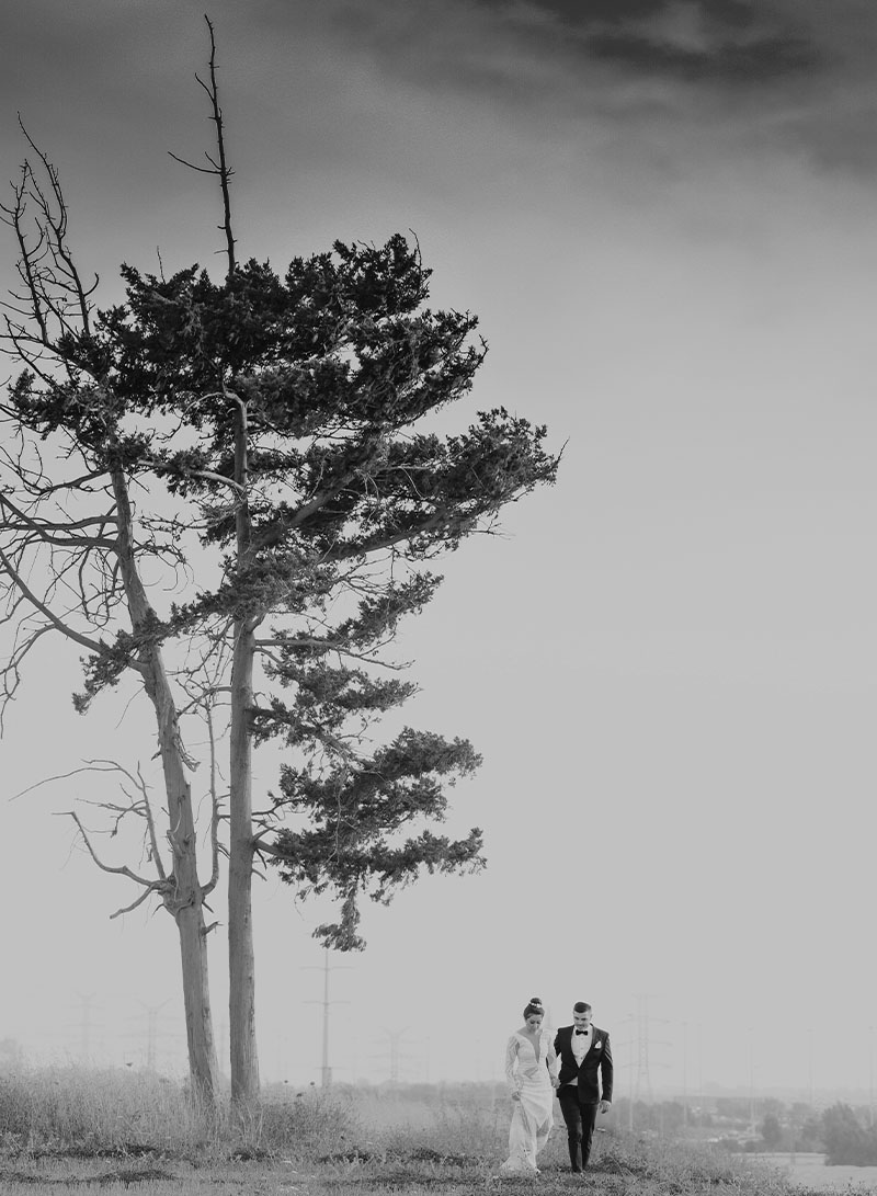 שאלות נפוצות